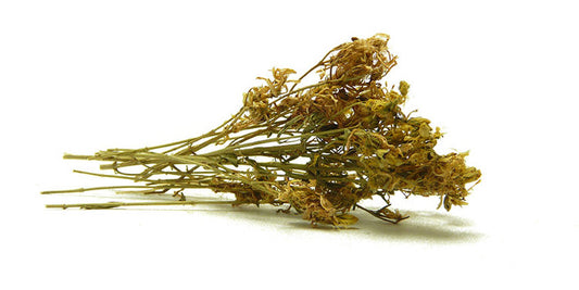 Balsamowiec 
  (cena za kilogram)