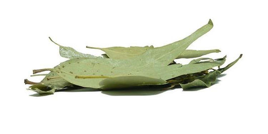 Eukaliptus
(cena za kilogram)