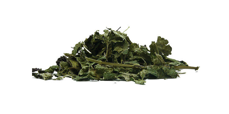 Wiciokrzew
(cena za kilogram)