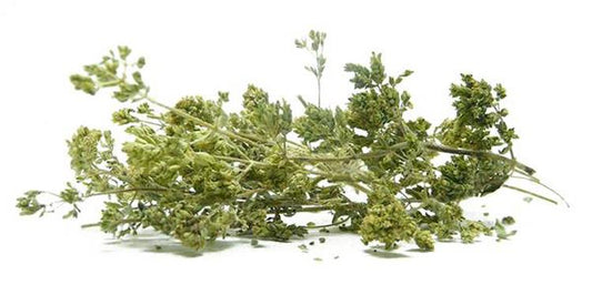 Oregano w pęczku
(cena za kilogram)