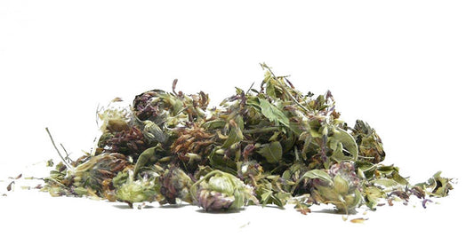 Clover Red
(cena za kilogram)