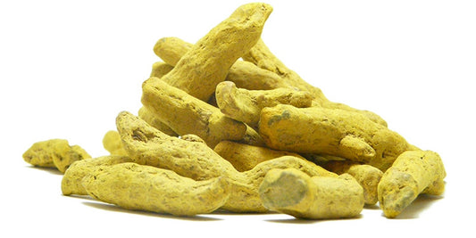 Kurkuma suszona w całości
(cena za kilogram)