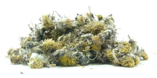 Kaszel
(cena za kilogram)