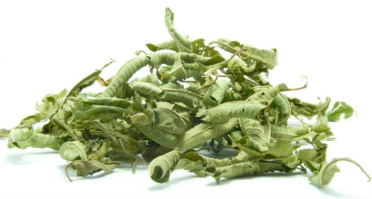 Werbena
(cena za kilogram)