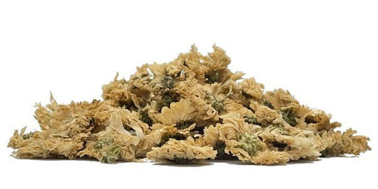 Chryzantema
(cena za kilogram)