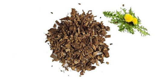 Korzeń mniszka lekarskiego
(cena za kilogram)