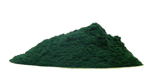 Chlorella w proszku organiczna
(cena za kilogram)