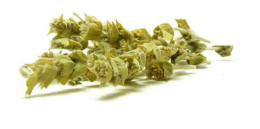 Mount Olympus Herbata Sideritis Scardica BIO 2025 
  (cena za kilogram)
