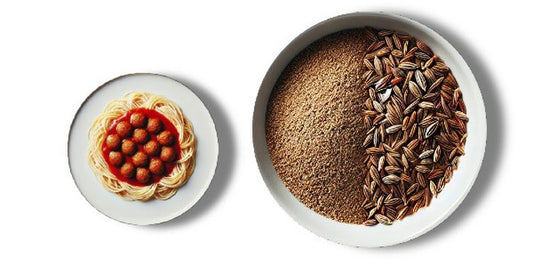 Kmin rzymski
(cena za kilogram)
