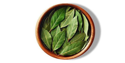 Daphne
(cena za kilogram)