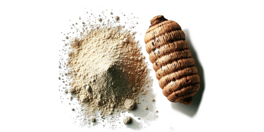 Proszek z korzenia maca Peru (proszek z korzenia maca) 
  (cena za kilogram)