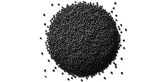 Gorczyca czarna
(cena za kilogram)