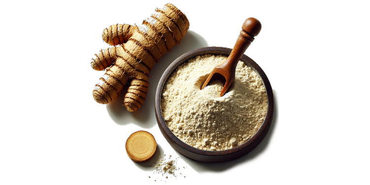 Korzeń suma
(cena za kilogram)